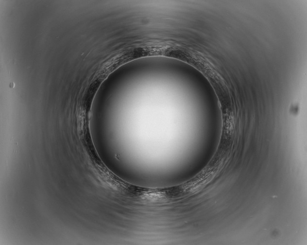 X0000098230283200804241347