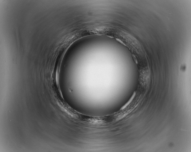 X0000098230284200804241347
