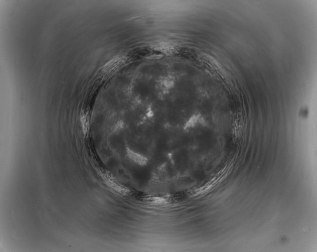 X0000098230285200804241347