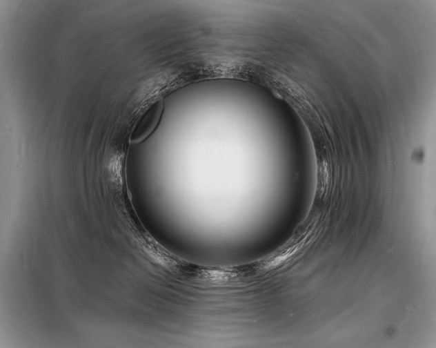 X0000098230286200804241347