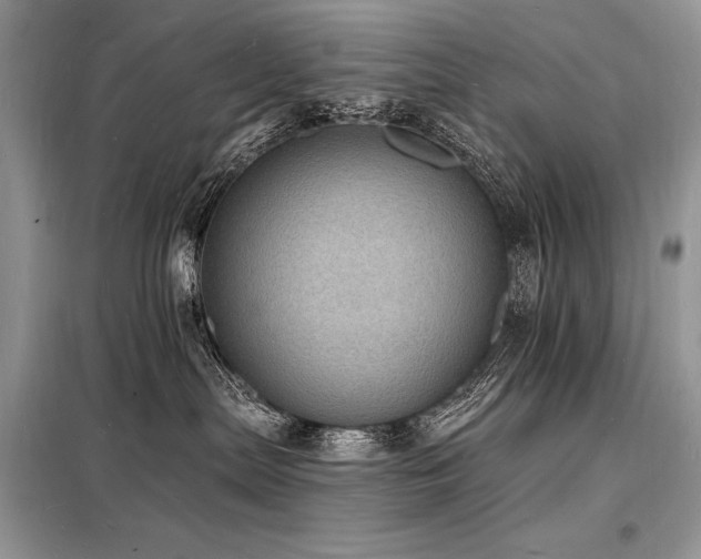 X0000098230287200804241347