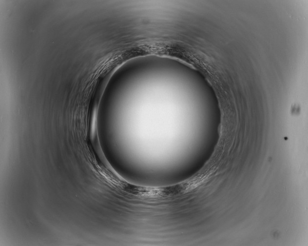 X0000098230288200804241347