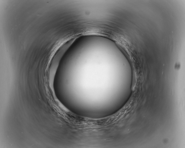 X0000098230289200804241347