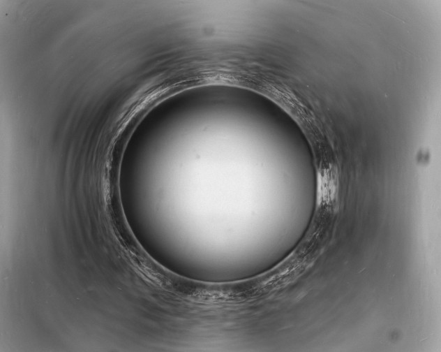 X0000098230291200804241347