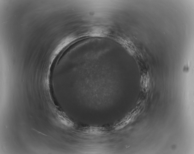 X0000098230292200804241347