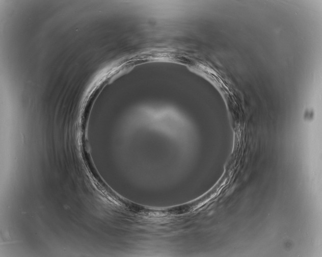 X0000098230293200804241347