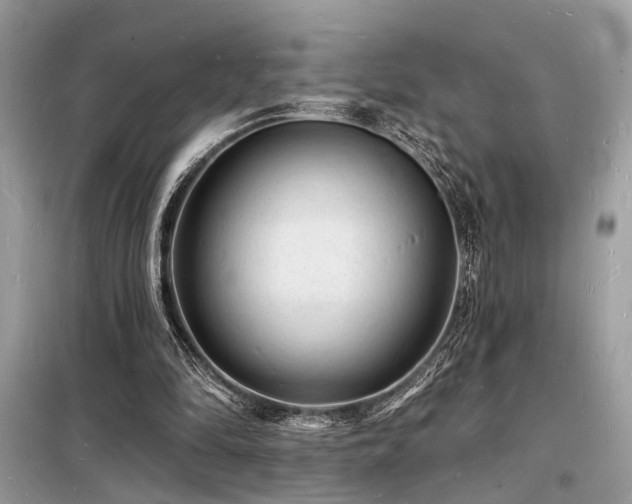 X0000098230294200804241347