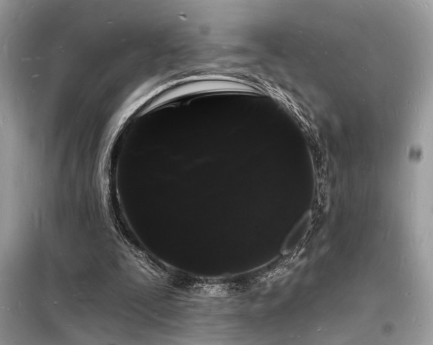 X0000098230295200804241347