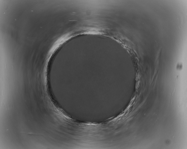 X0000098230296200804241347