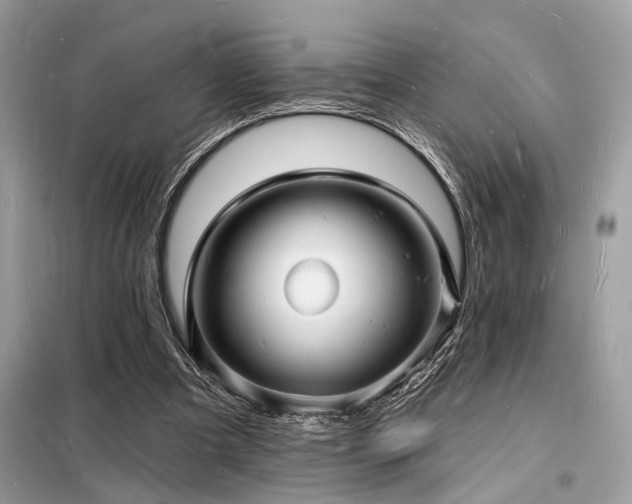 X0000098230297200804241347