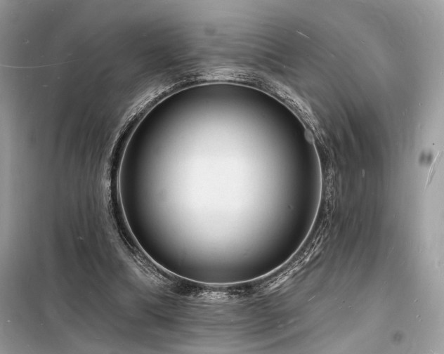 X0000098230298200804241347