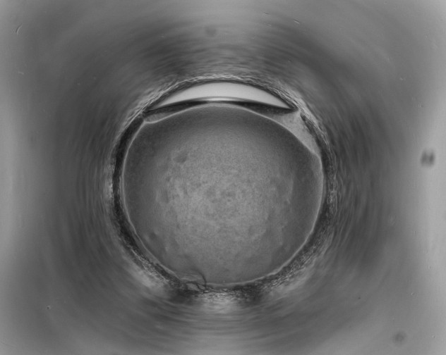 X0000098230299200804241347