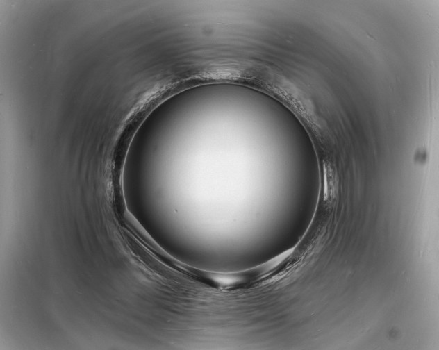 X0000098230300200804241347
