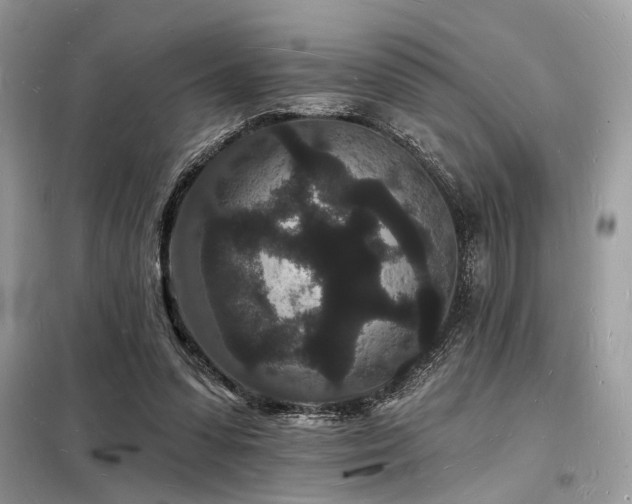 X0000098230303200804241346