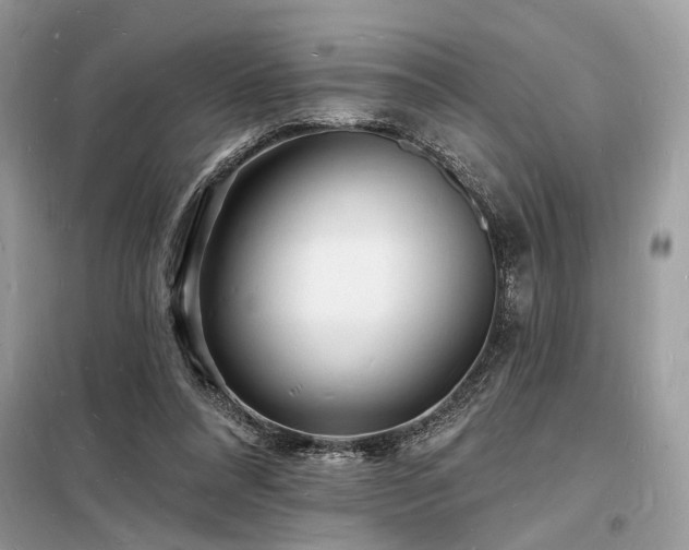 X0000098230304200804241346