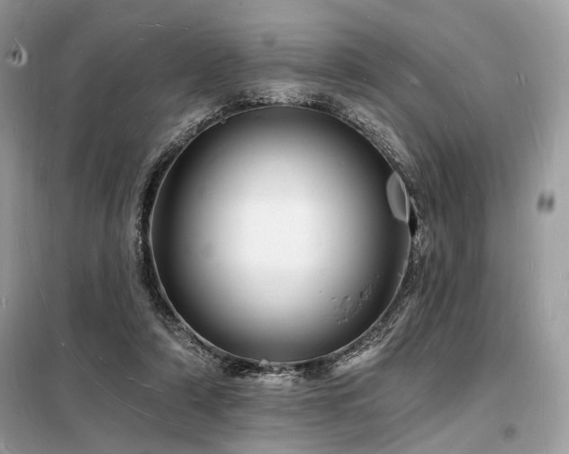 X0000098230306200804241346
