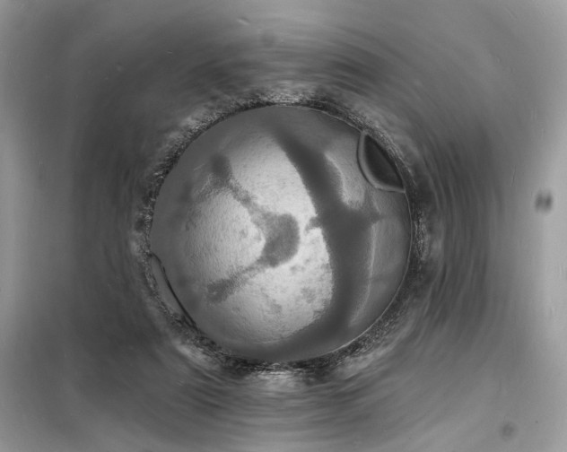 X0000098230307200804241346