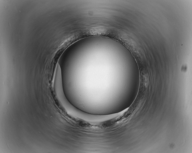 X0000098230308200804241346