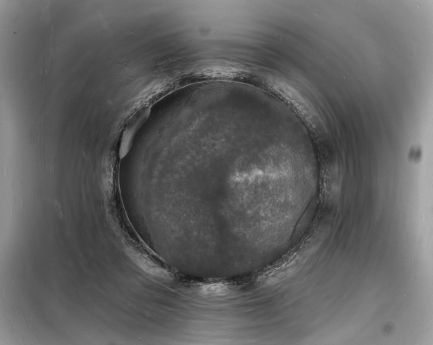 X0000098230309200804241346