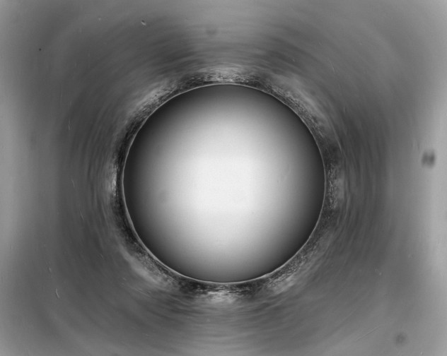 X0000098230310200804241346