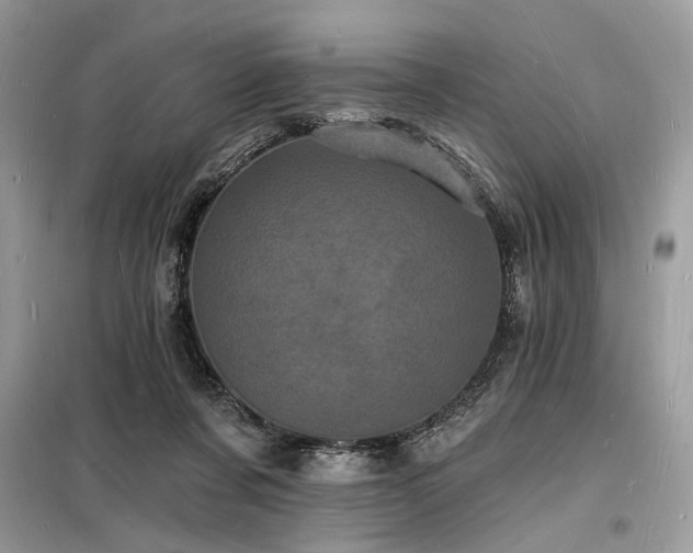 X0000098230311200804241346