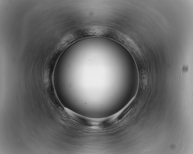 X0000098230312200804241346