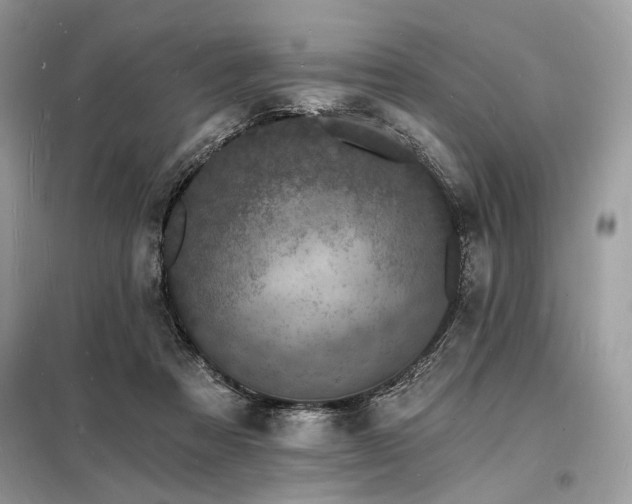 X0000098230313200804241346