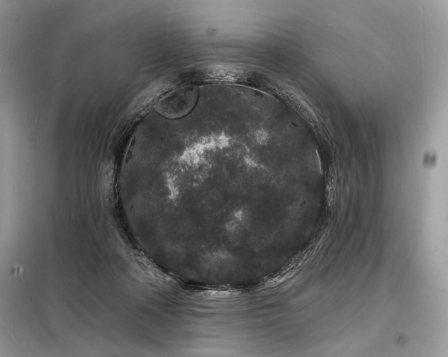 X0000098230314200804241346