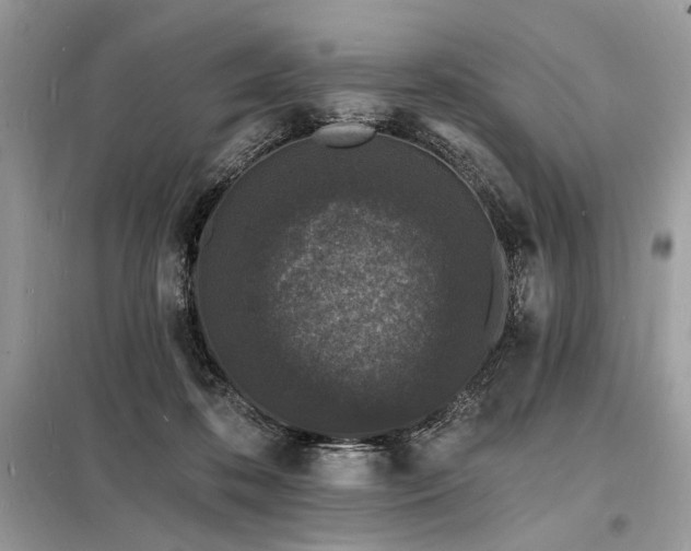 X0000098230316200804241346
