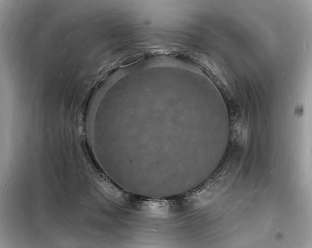 X0000098230317200804241346