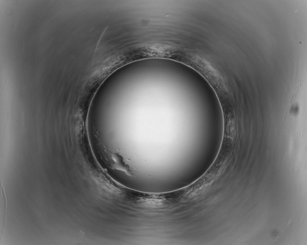 X0000098230318200804241346