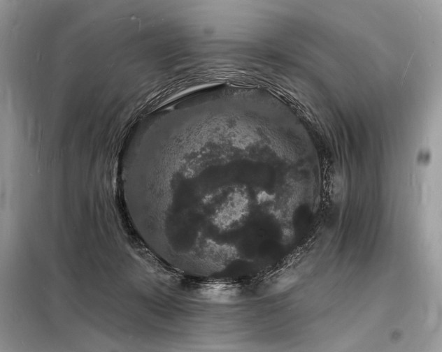 X0000098230319200804241346