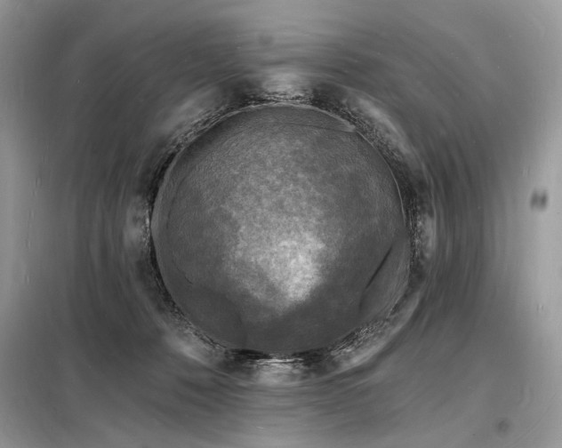 X0000098230320200804241346