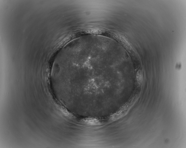 X0000098230322200804241346