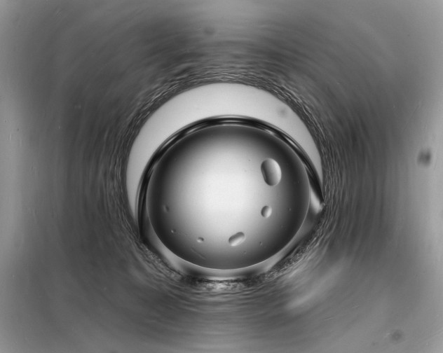 X0000098230323200804241346