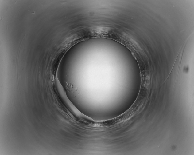 X0000098230324200804241346