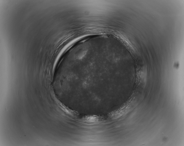 X0000098230325200804241346