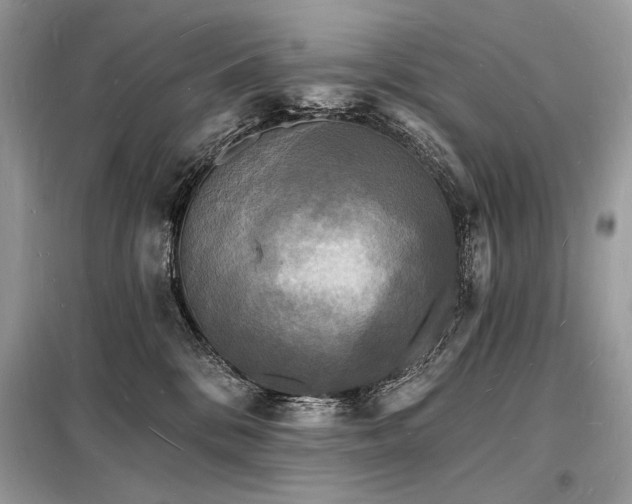 X0000098230328200804241346