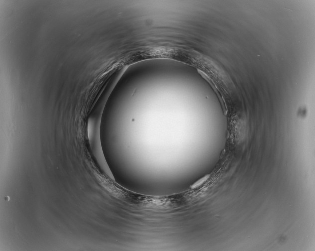 X0000098230329200804241346