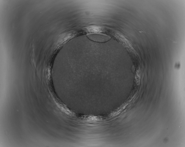 X0000098230330200804241346
