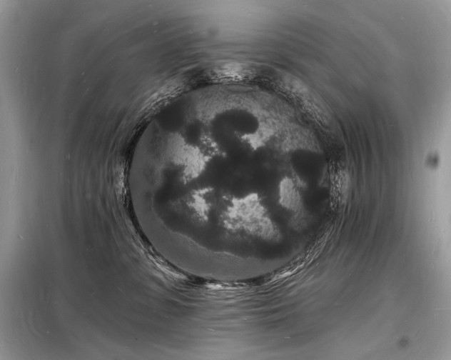 X0000098230331200804241346