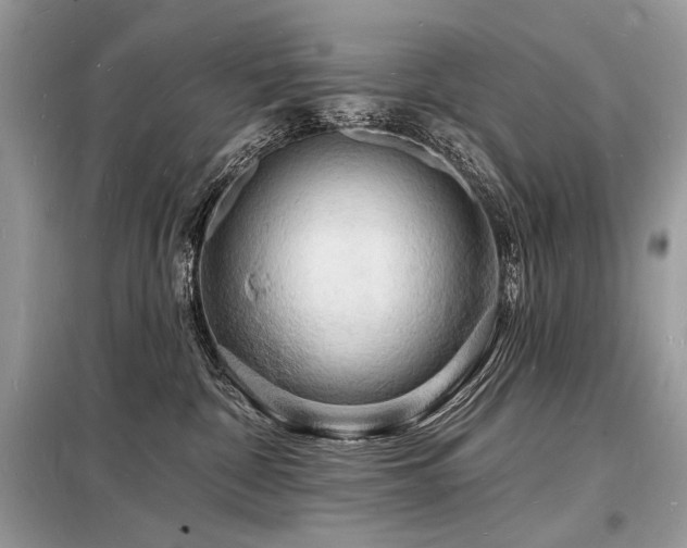 X0000098230332200804241346