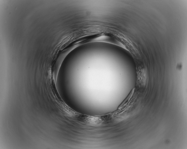 X0000098230333200804241346