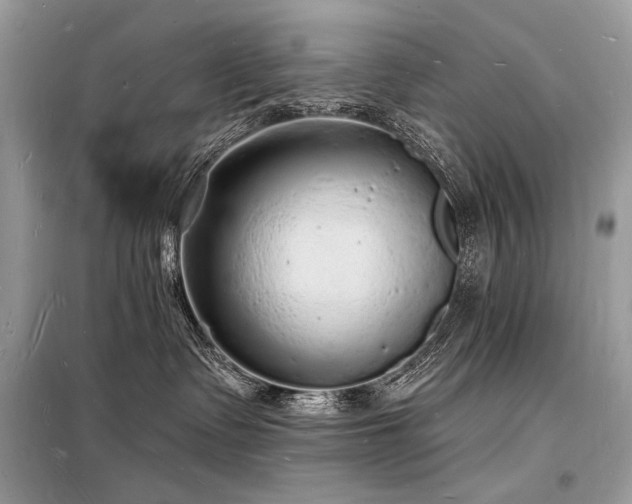 X0000098230335200804241346