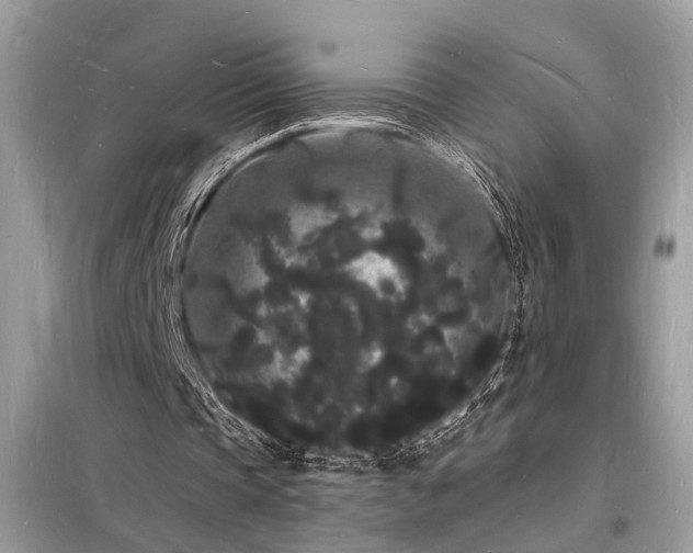 X0000098230337200804241345