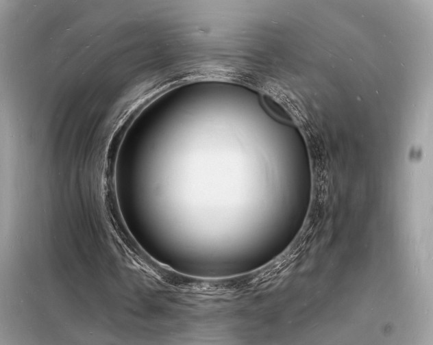 X0000098230338200804241345