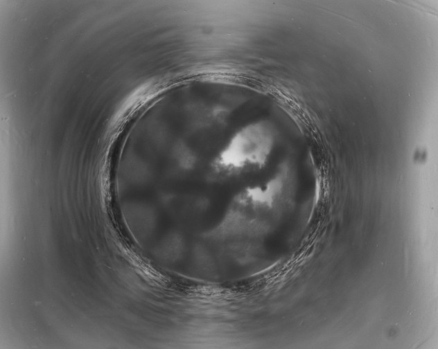 X0000098230339200804241345