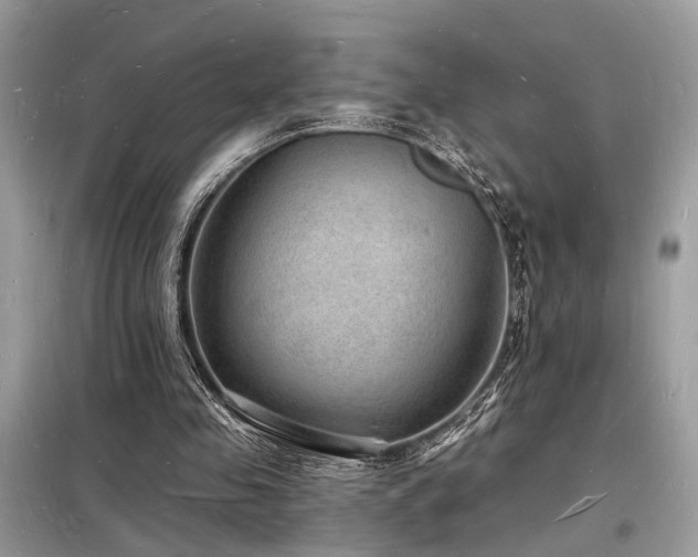 X0000098230341200804241345