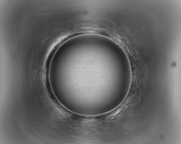 X0000098230342200804241345