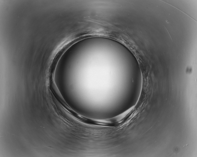 X0000098230344200804241345